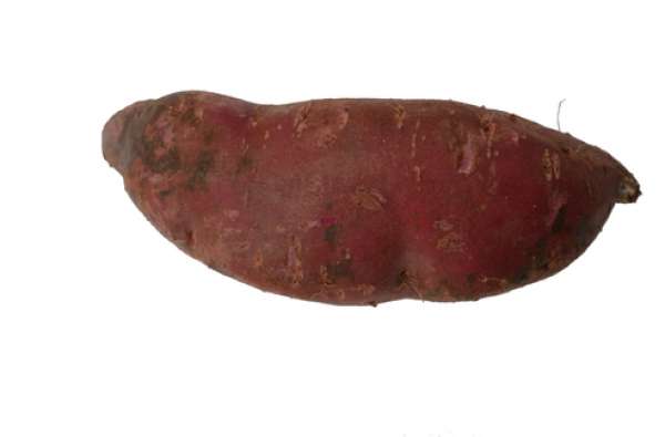 Batata Doce Bio