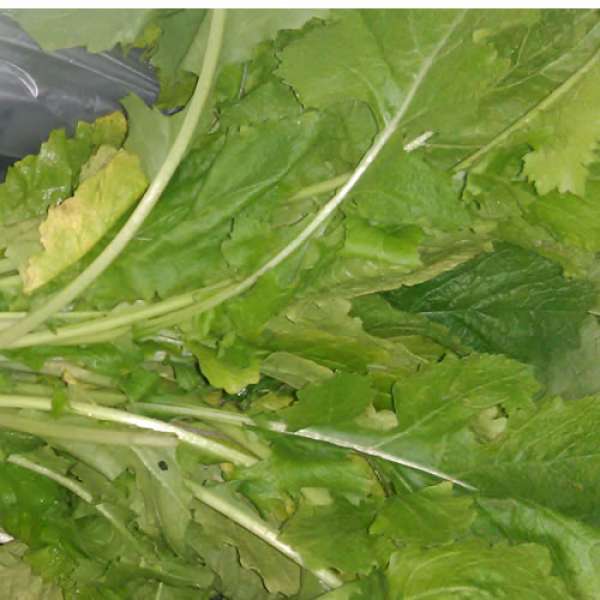 Nabiça Bio, molho 250 gr