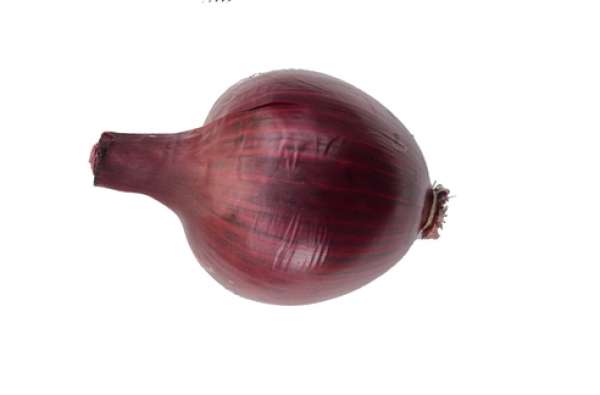 Cebola Roxa Bio