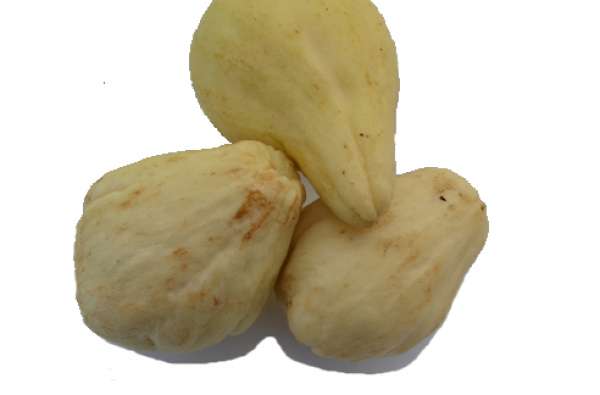 Chuchu Bio