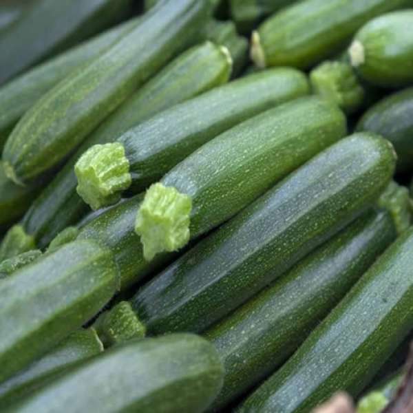 Curgete Verde
