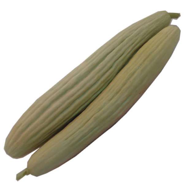 Pepino Melão