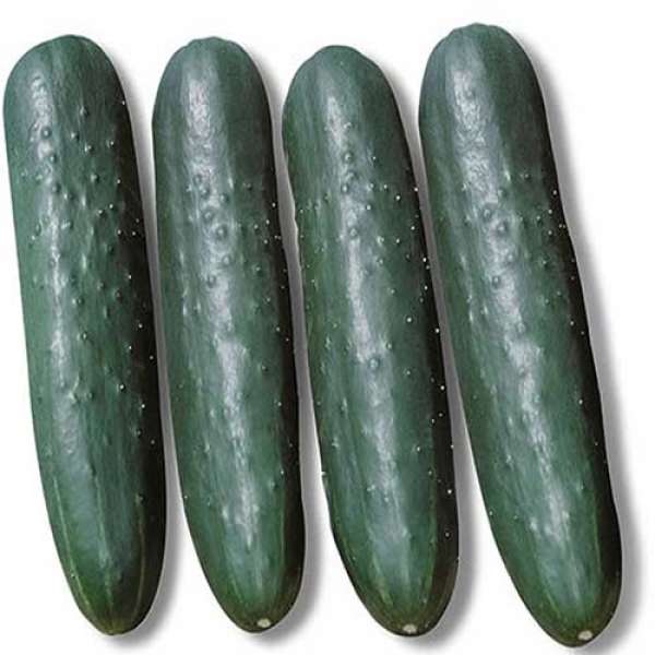 Pepino