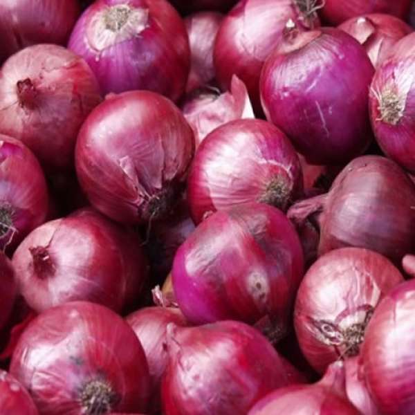 Cebola Roxa