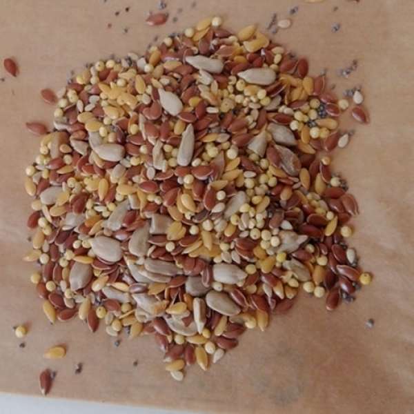 Mix de 6 Sementes Bio