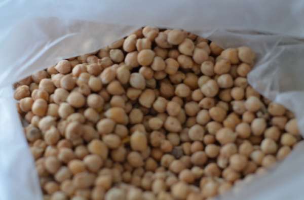 Grão de Bico Bio