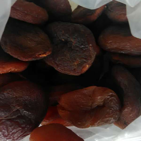 Damasco Seco, Bio